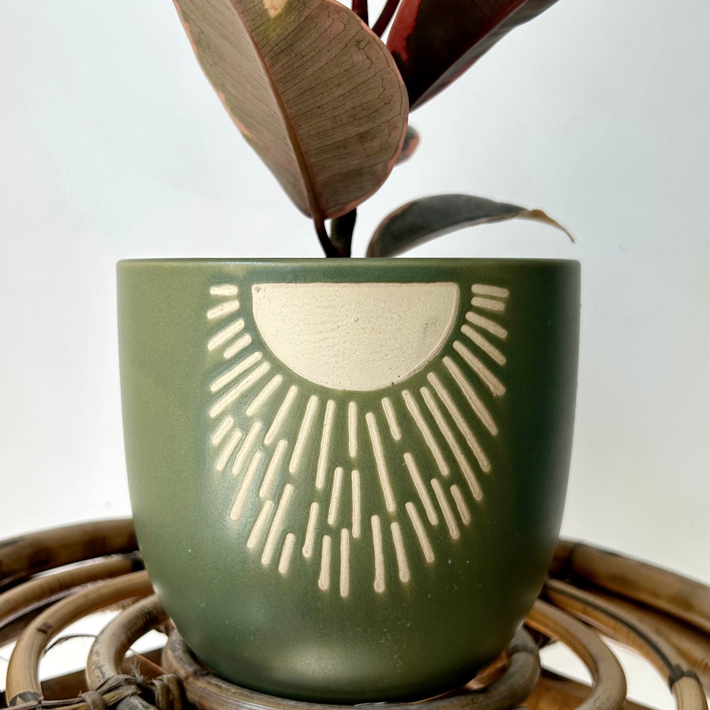 MEADOW Decorative Pot (5.25”x5”)