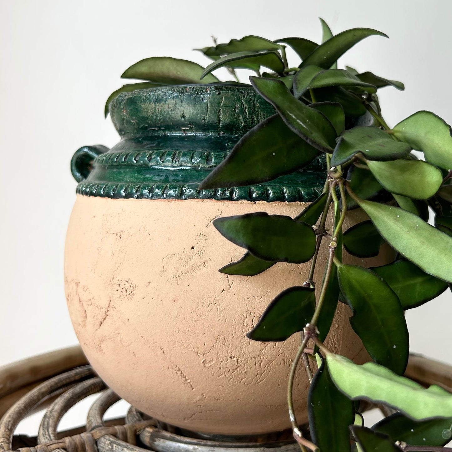 IRENE Bulbous Decorative Planter (5”x7”)