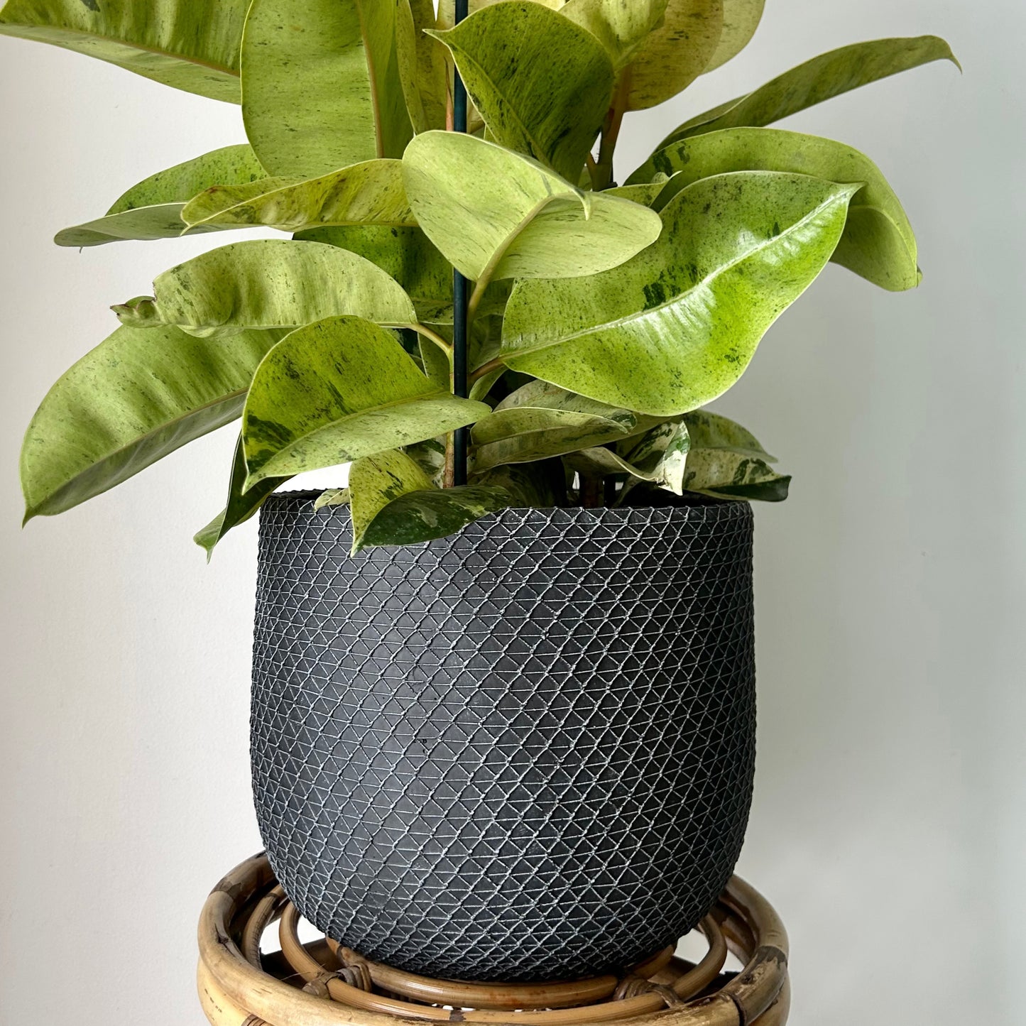COMET Decorative Cement Pot (12”x12”)
