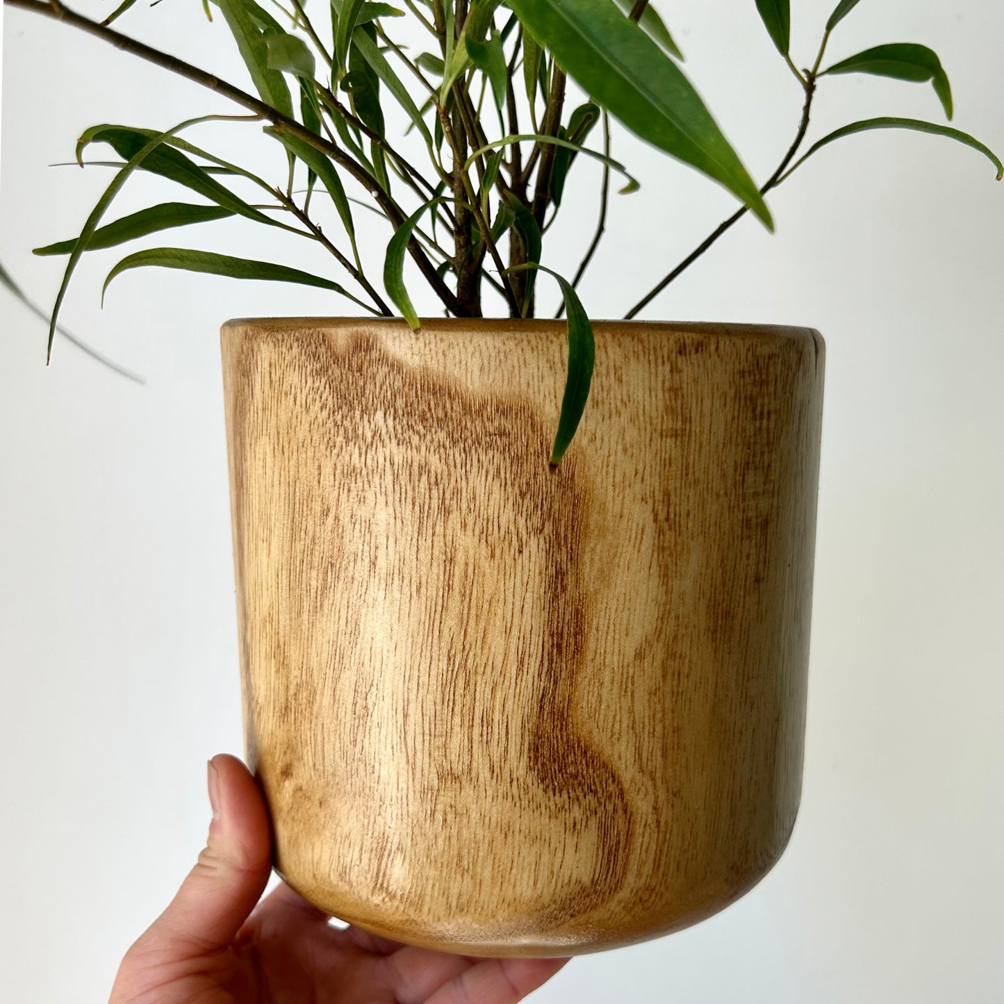 NICO Wooden Decorative Planter (5”x6”)