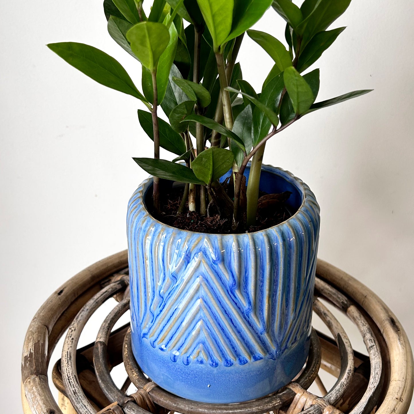 FELICITY BLUE Decorative Pot (5”x5.5”)