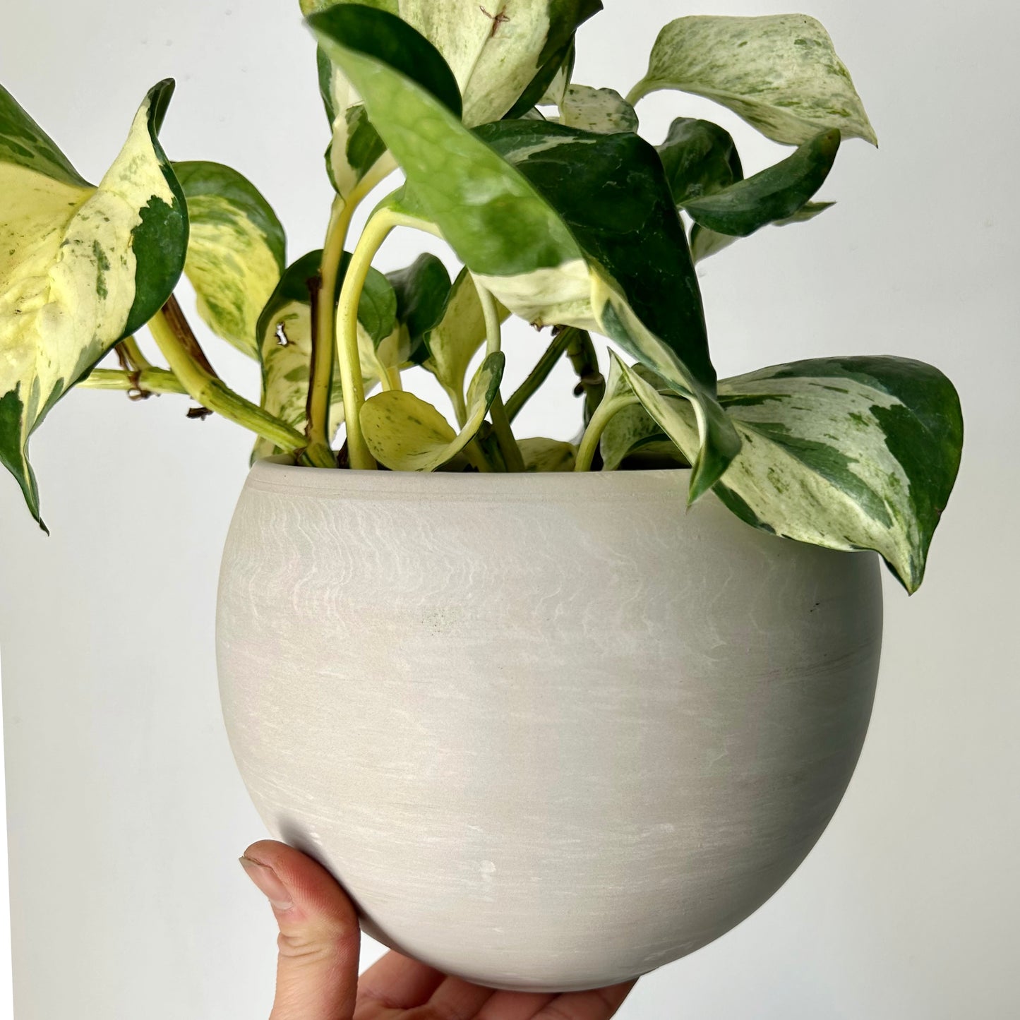 SHILOH Decorative Sphere Clay Pot