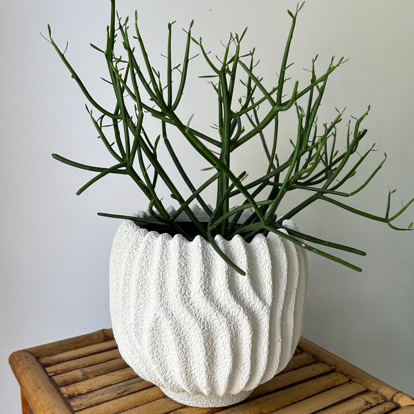 CASPIAN decorative textured cement pot (available in two sizes)