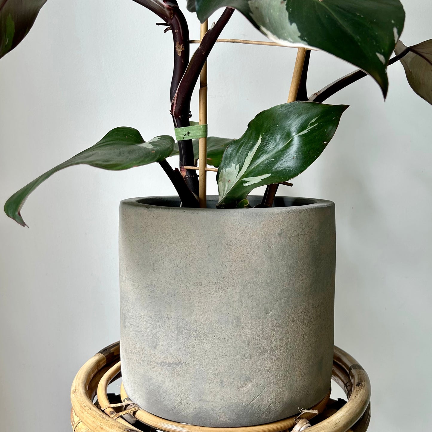 ASHER GREY Modern Concrete Planter