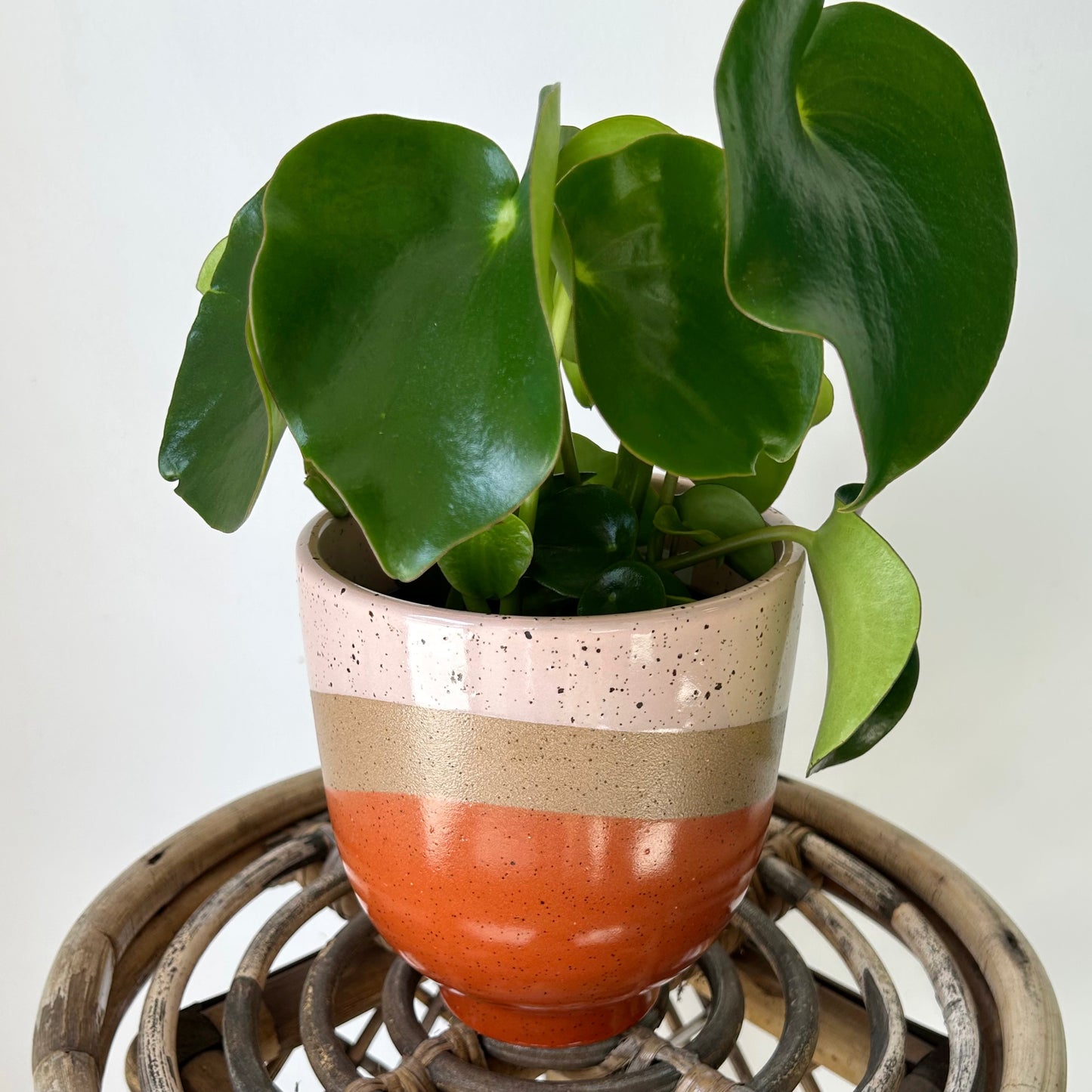 LUISA Decorative pot PINK with sandstone accent (5”x5”)