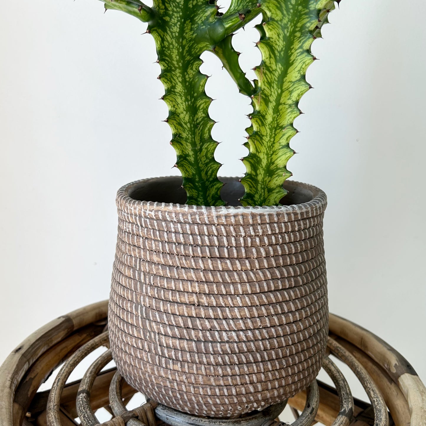 LARKIN Decorative cement pot (seagrass textured design) available in two sizes