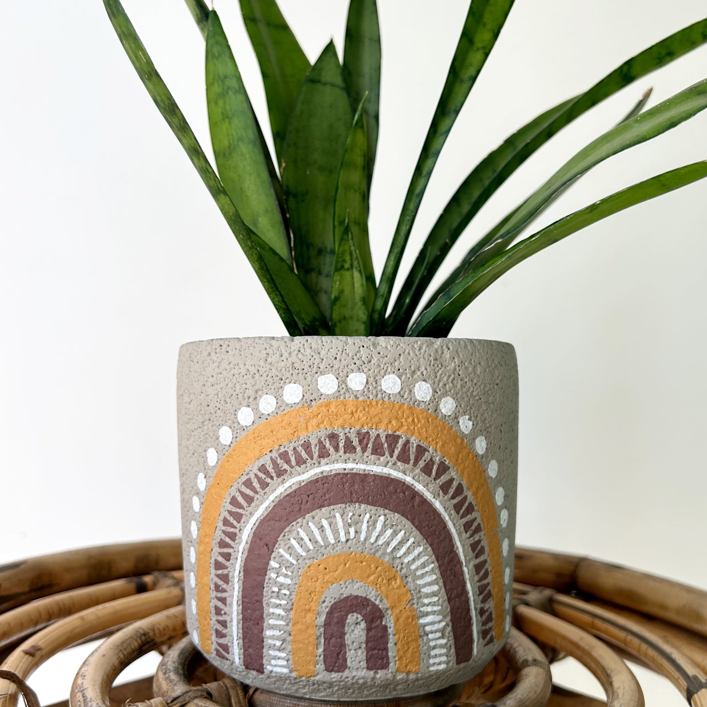 DIEGO Cement Decorative Pot (6.5”x6.5”)