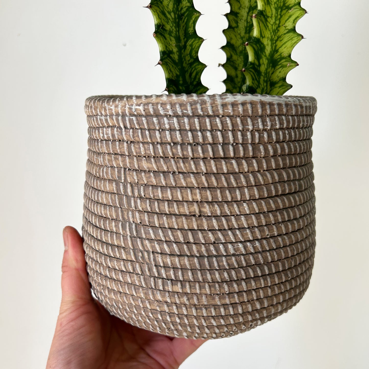 LARKIN Decorative cement pot (seagrass textured design) available in two sizes