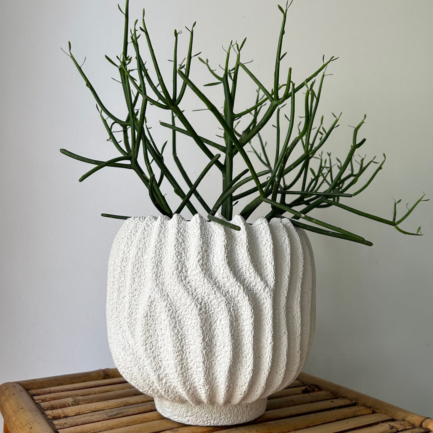 CASPIAN decorative textured cement pot (available in two sizes)