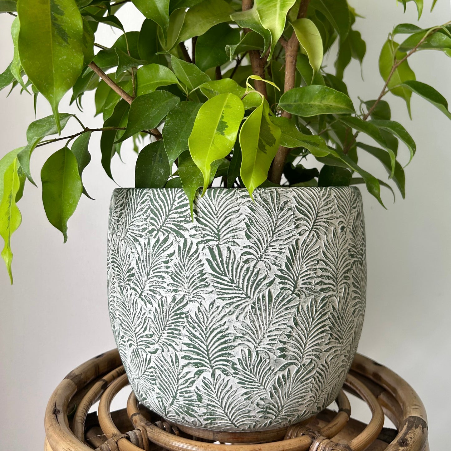 FERNANDA Decorative Cement Pot