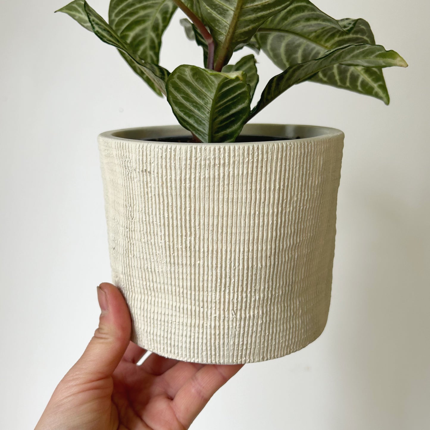 FINLEY textured pot CREAM (4.5”x4)