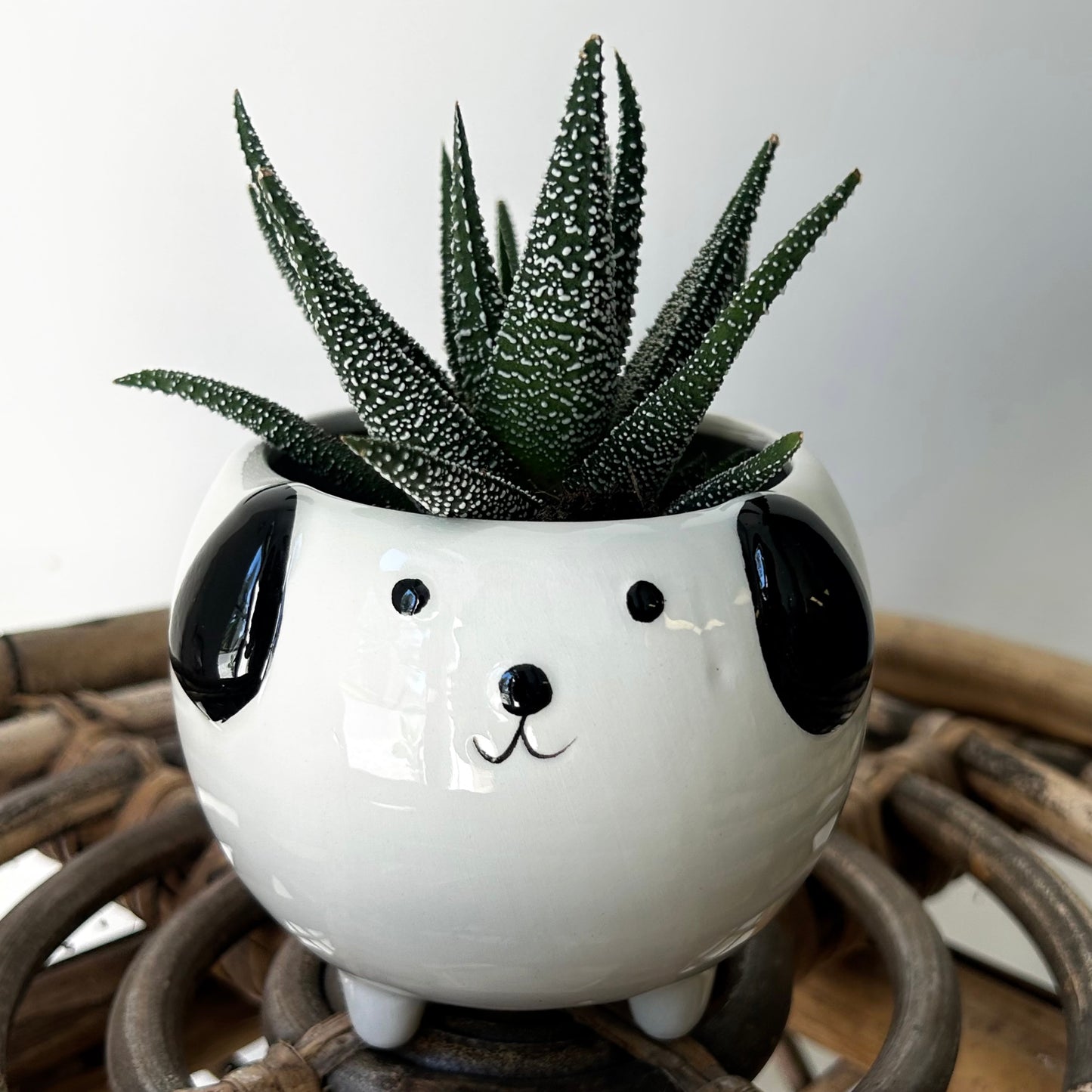 Black & White Dog Decorative Pot (3”x3”)