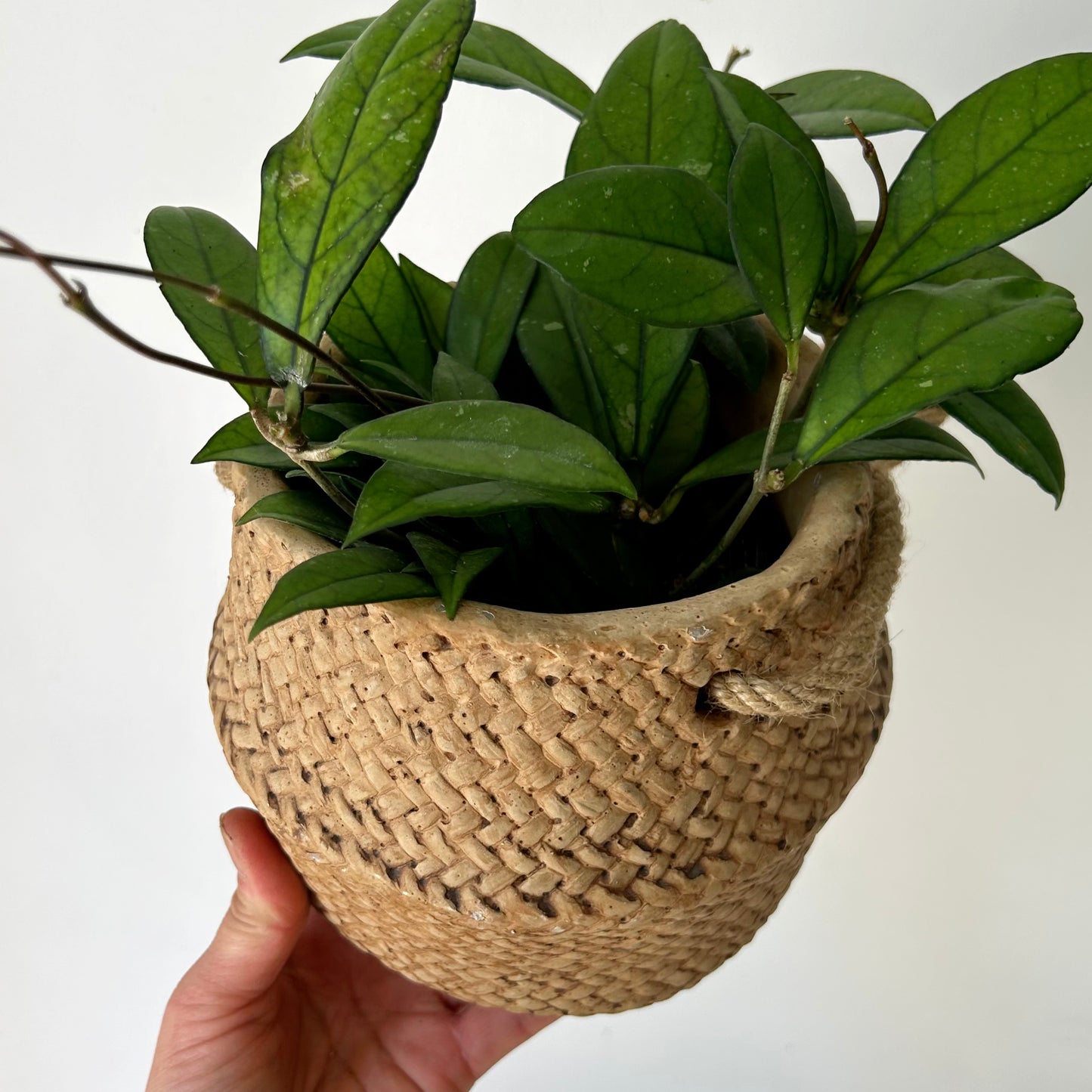 HAVEN Decorative hanging cement pot (rattan textured design) 4.75”x5”