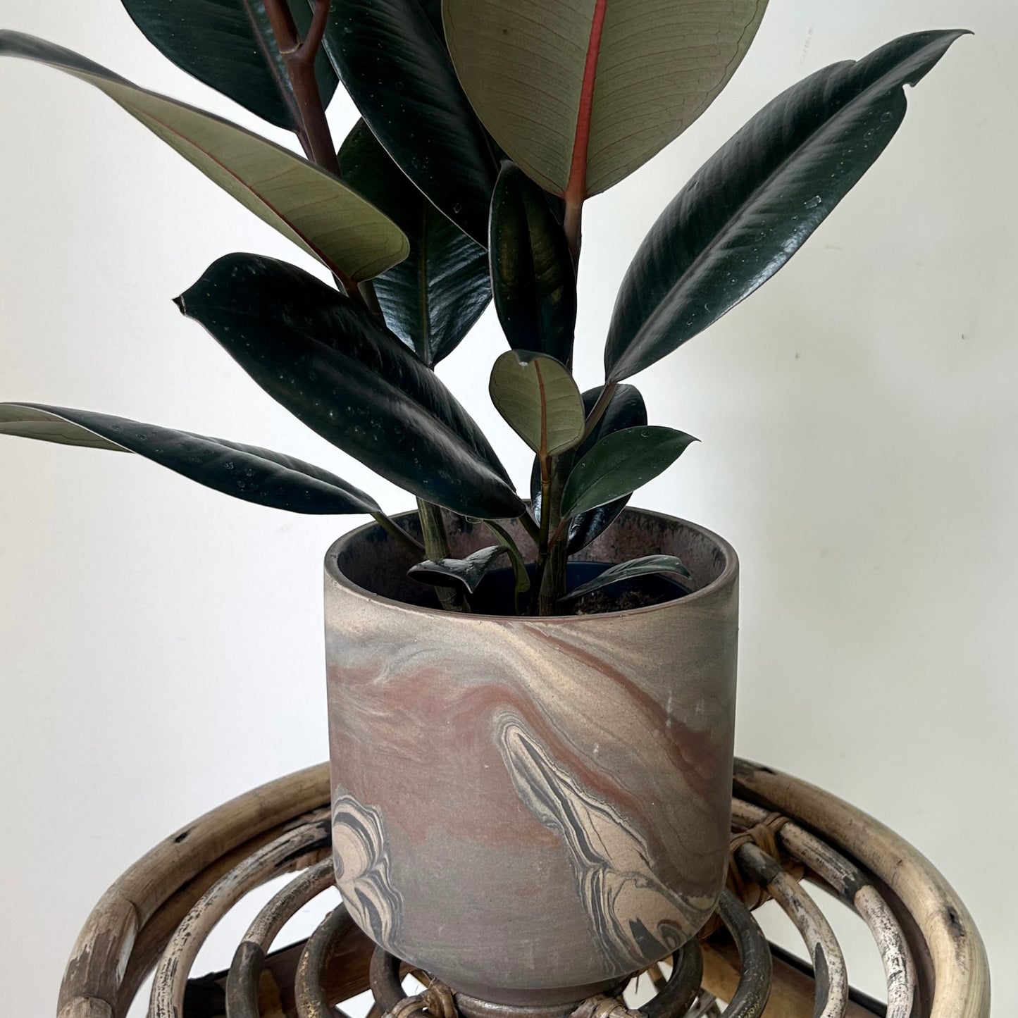 TEDROS Decorative Pot (available in two sizes)