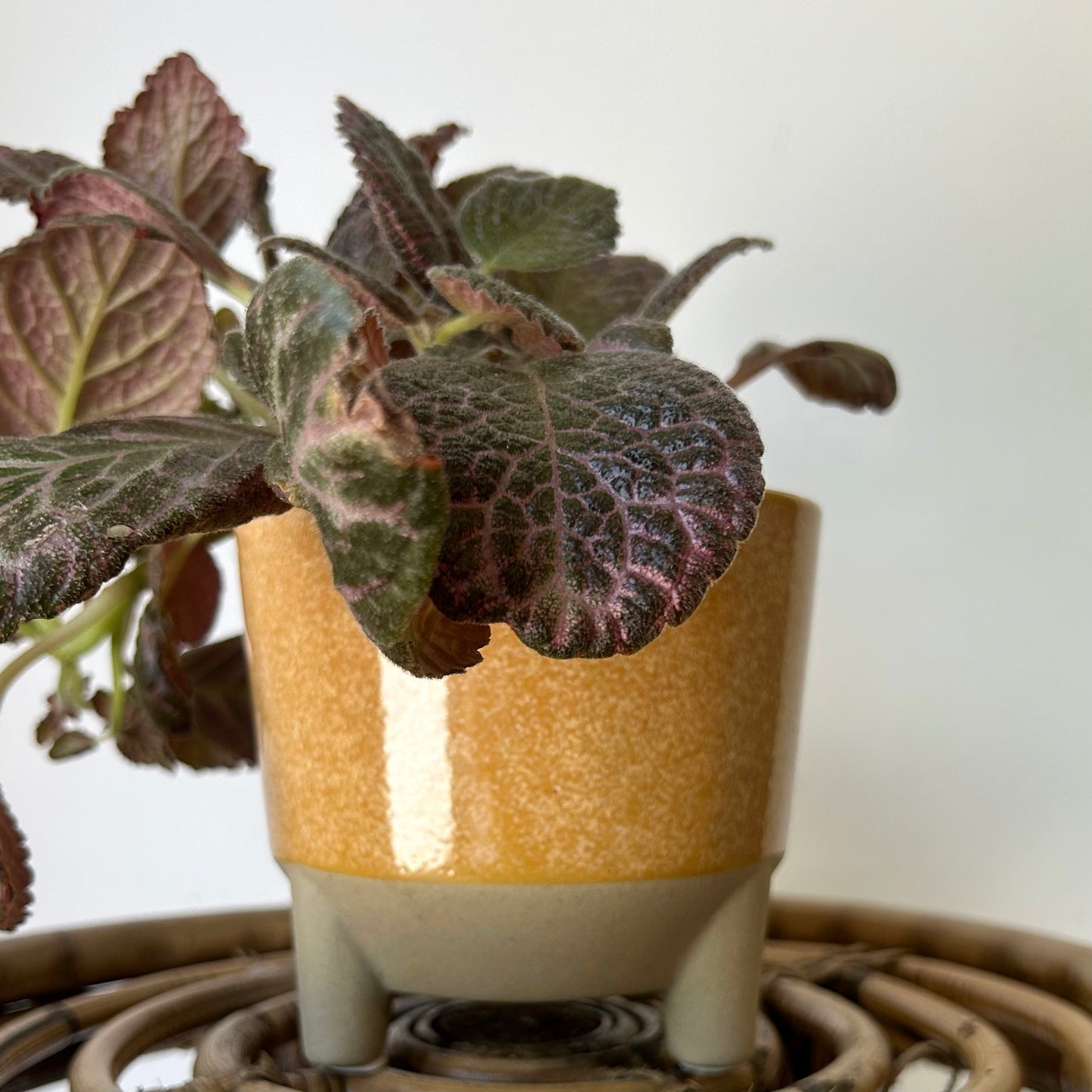 GEMMA Decorative Ceramic Footed Planter (4.5”x3.5”) SQUASH YELLOW