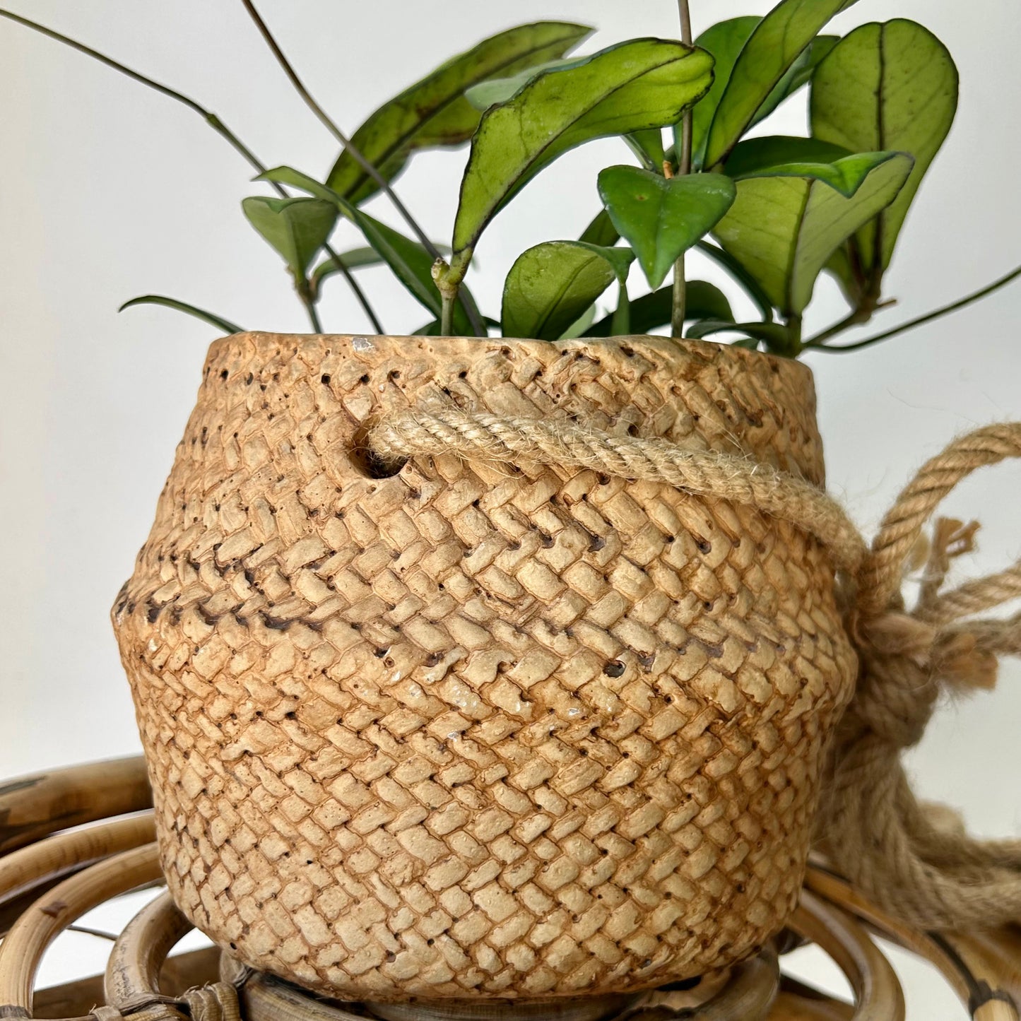HAVEN Decorative hanging cement pot (rattan textured design) 4.75”x5”