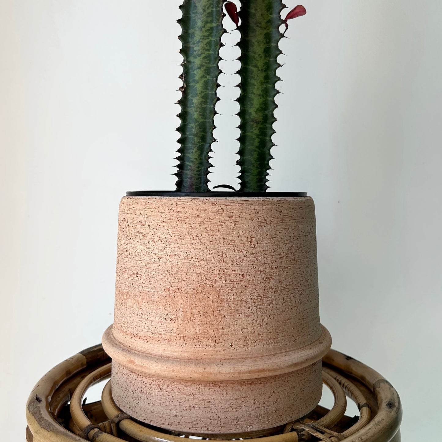 Terra Cotta Planter (6”x6.5”)