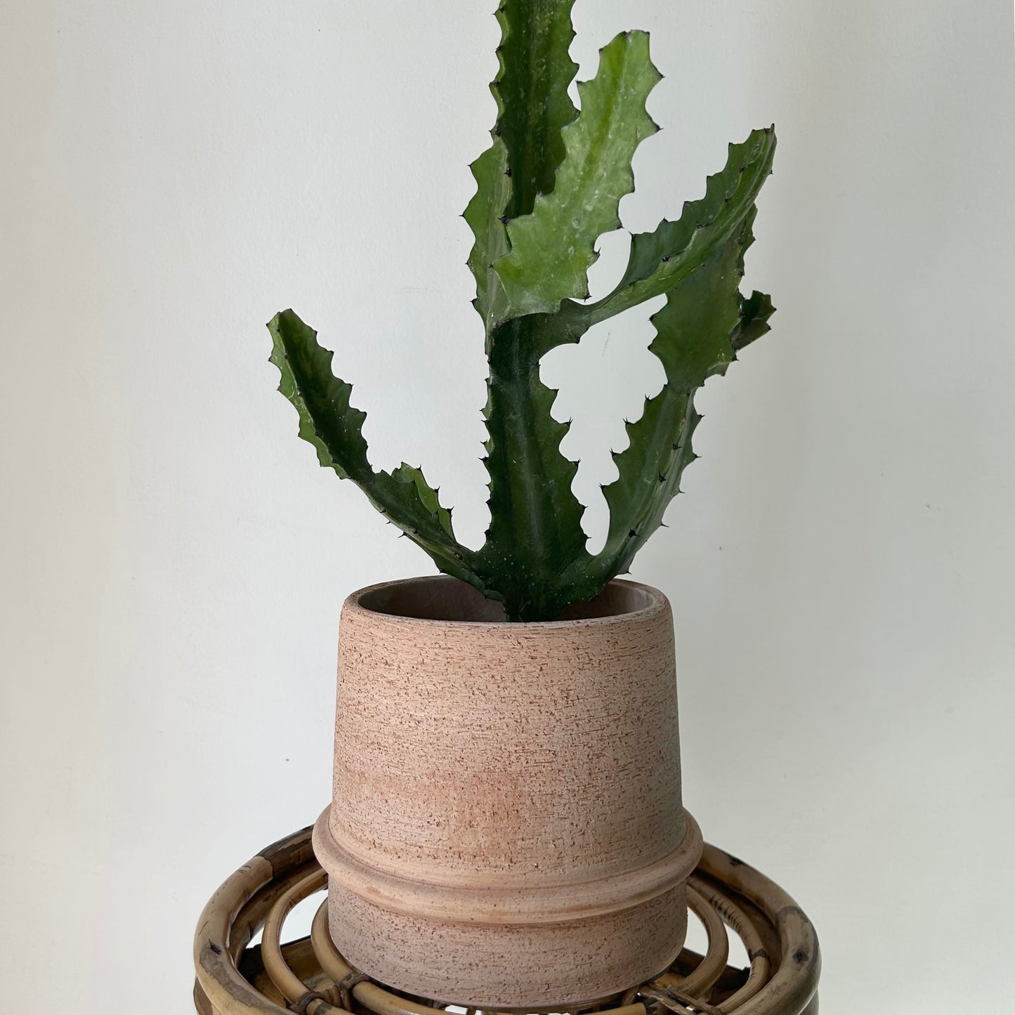 Terra Cotta Planter (6”x6.5”)