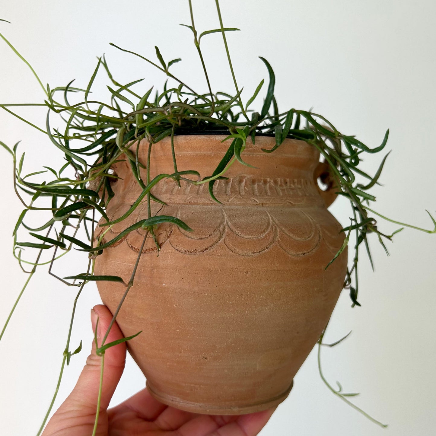 ARIZONA Decorative Clay Pot (3.5”x5.5”)