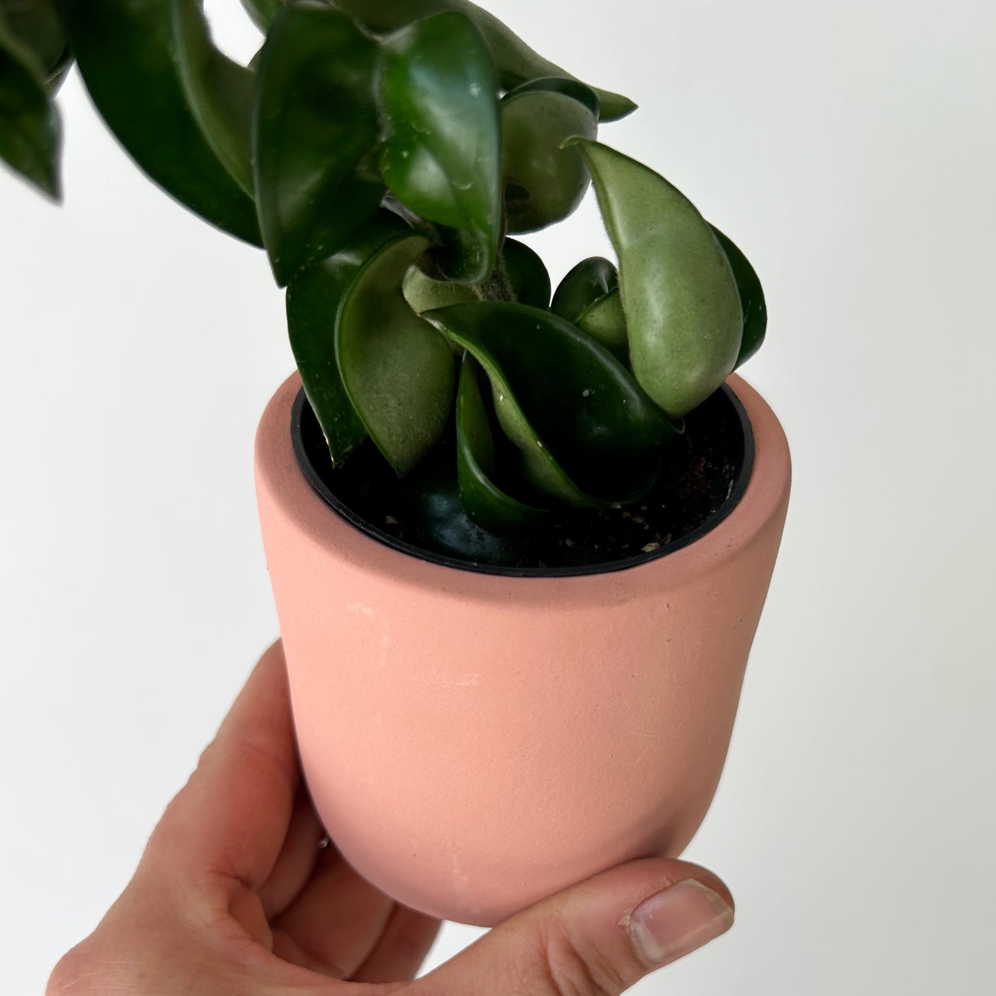 FAYE Cylindrical Clay decorative pot (2.5”x2.5”) available in two colours