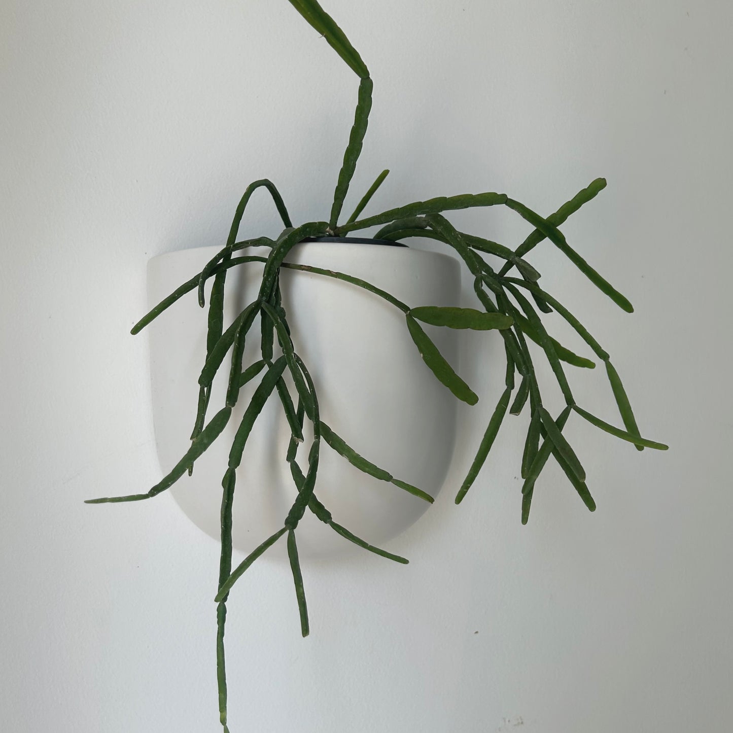 Modern Ceramic Wall Pocket MATTE WHITE (7"X3.75"X6.75)