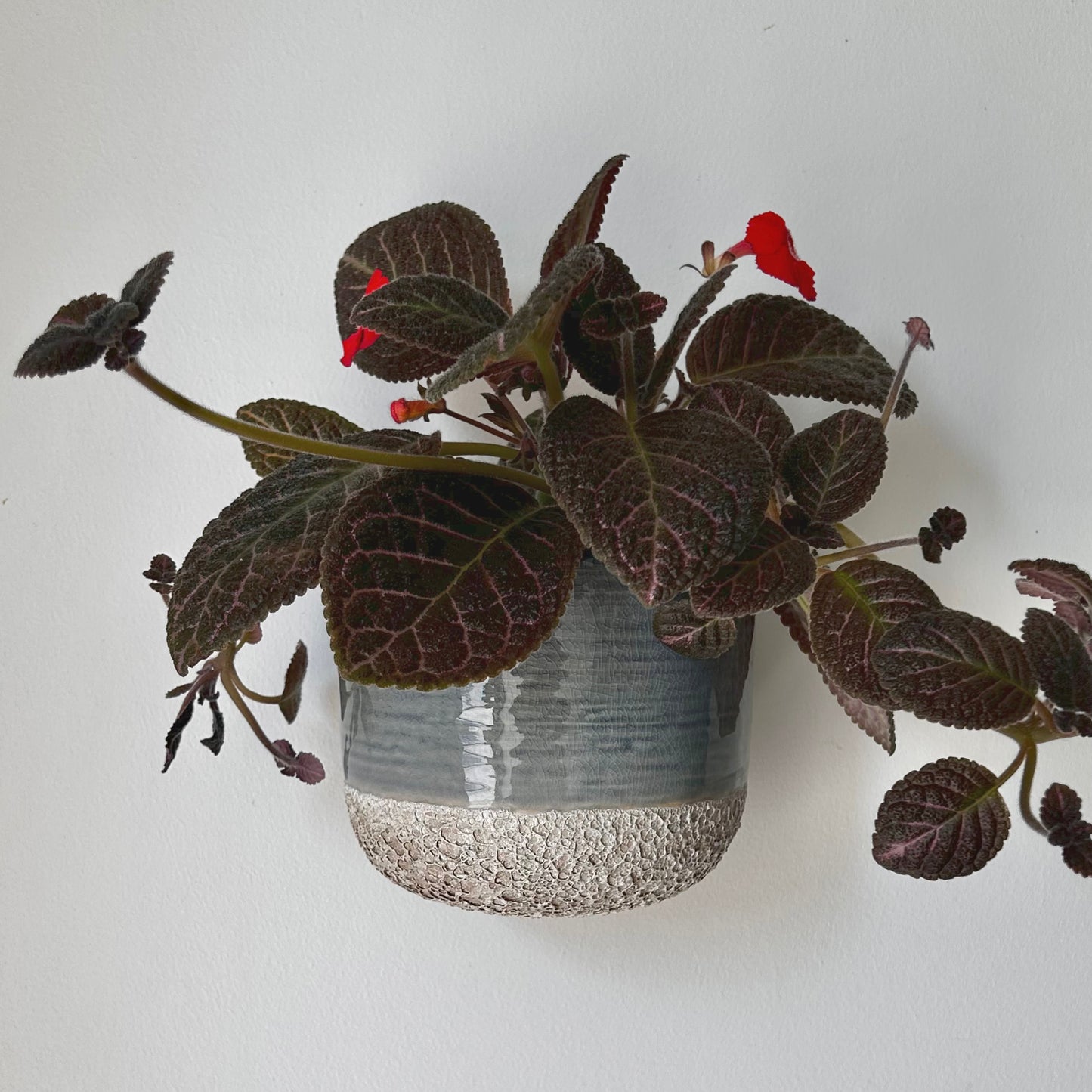 MELO two-tone Ceramic Wall Pot (5”x4.25”)