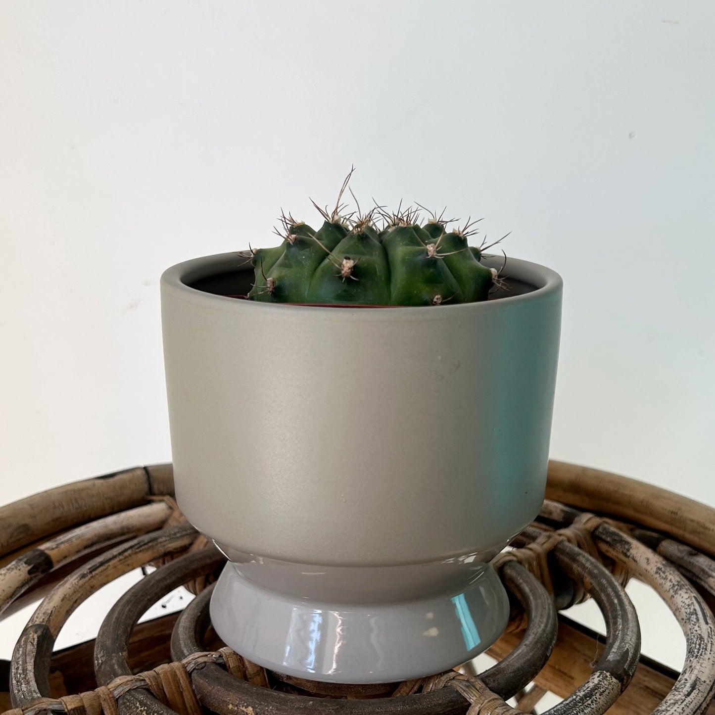 PASADENA Decorative Raised Pot (available in two colours) 4.5”x5”