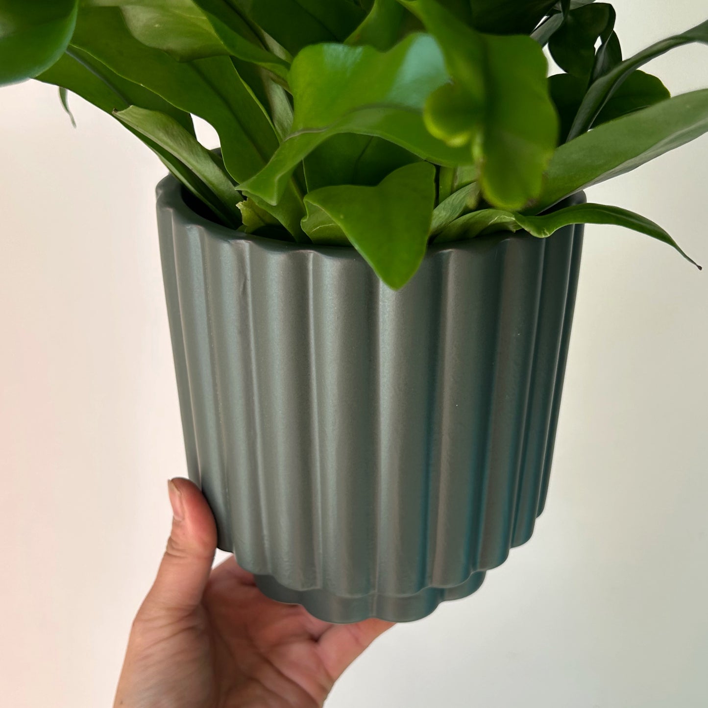 HARMONY Decorative Pot (5”x6”)