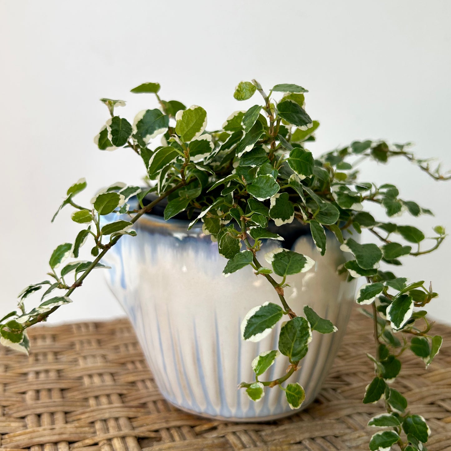 ESME Decorative Ceramic Pot (4”x3.5”)