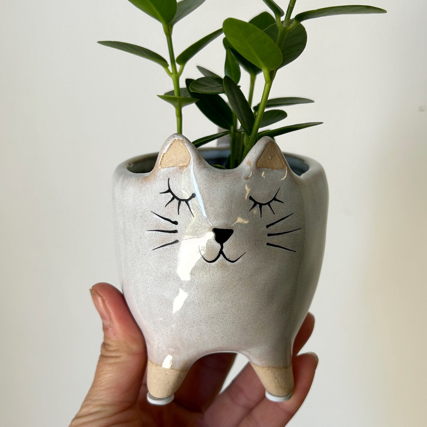 Kitten Decorative Ceramic Pot (2.75”x2.75”)