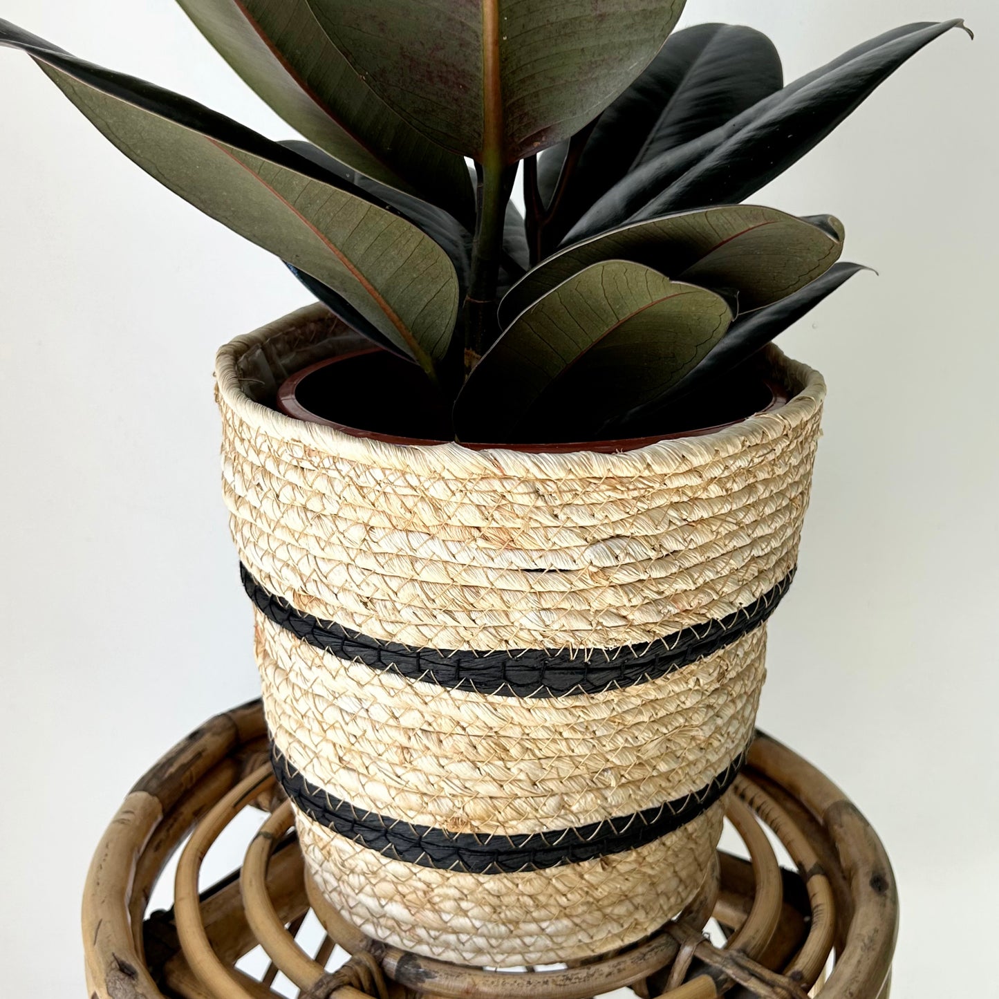 POPPY decorative Plant Basket (7”x7”)