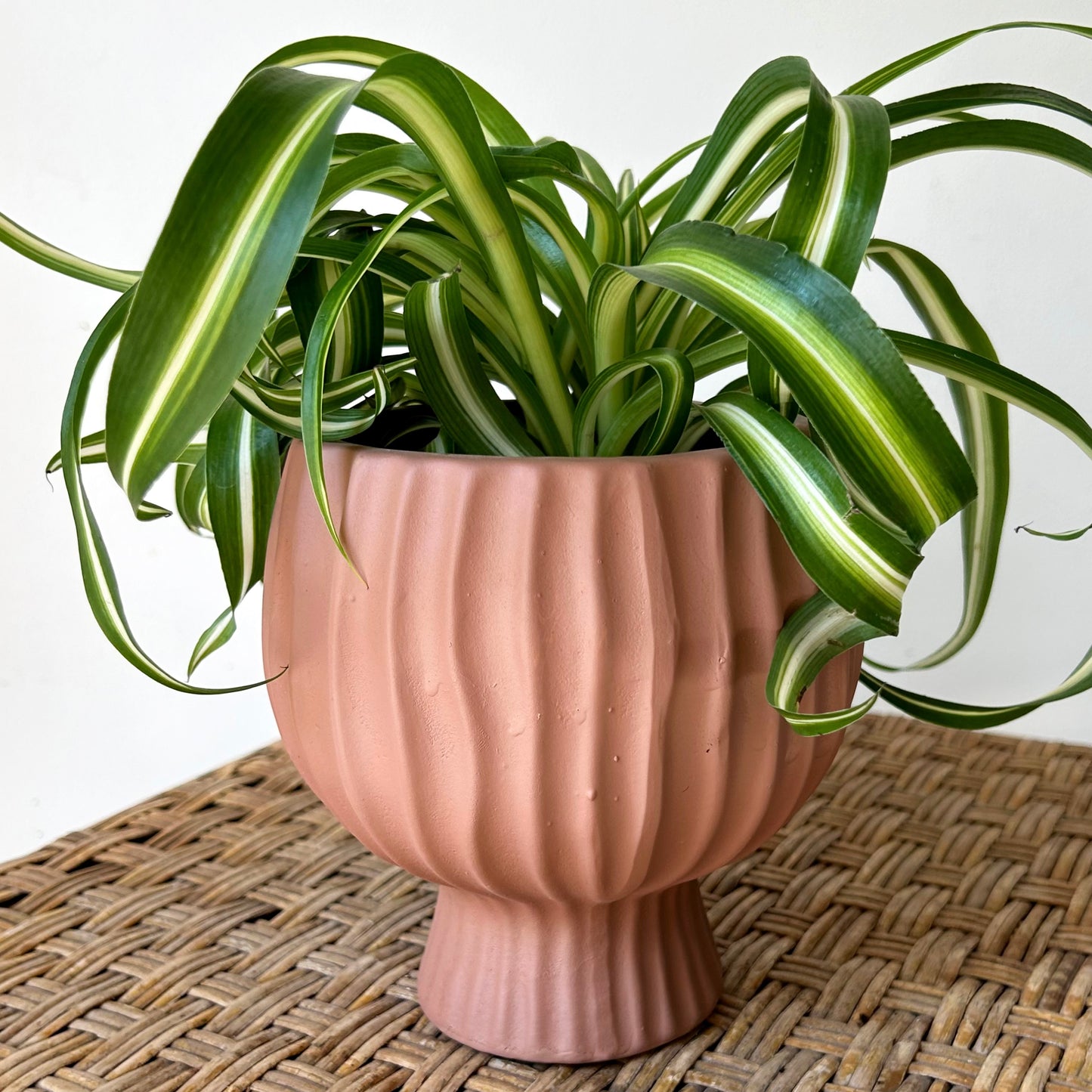 BRONWYN decorative ceramic pot w. Tapered base (4”X3)