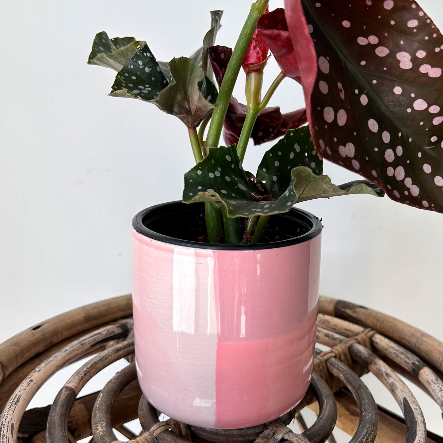 PINK Mod Love Decorative Pot (4”x4”)