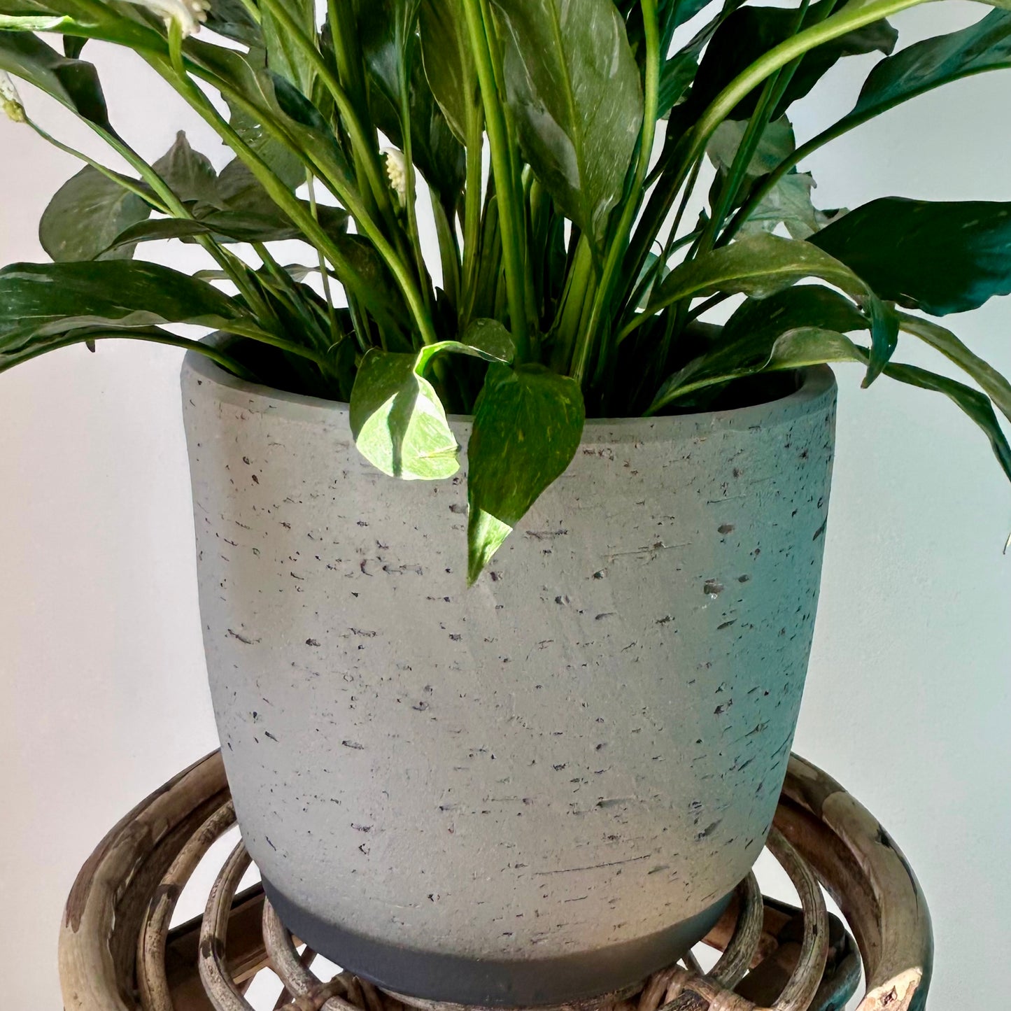 SLOAN Textured Decorative pot Grey (8”x8”)