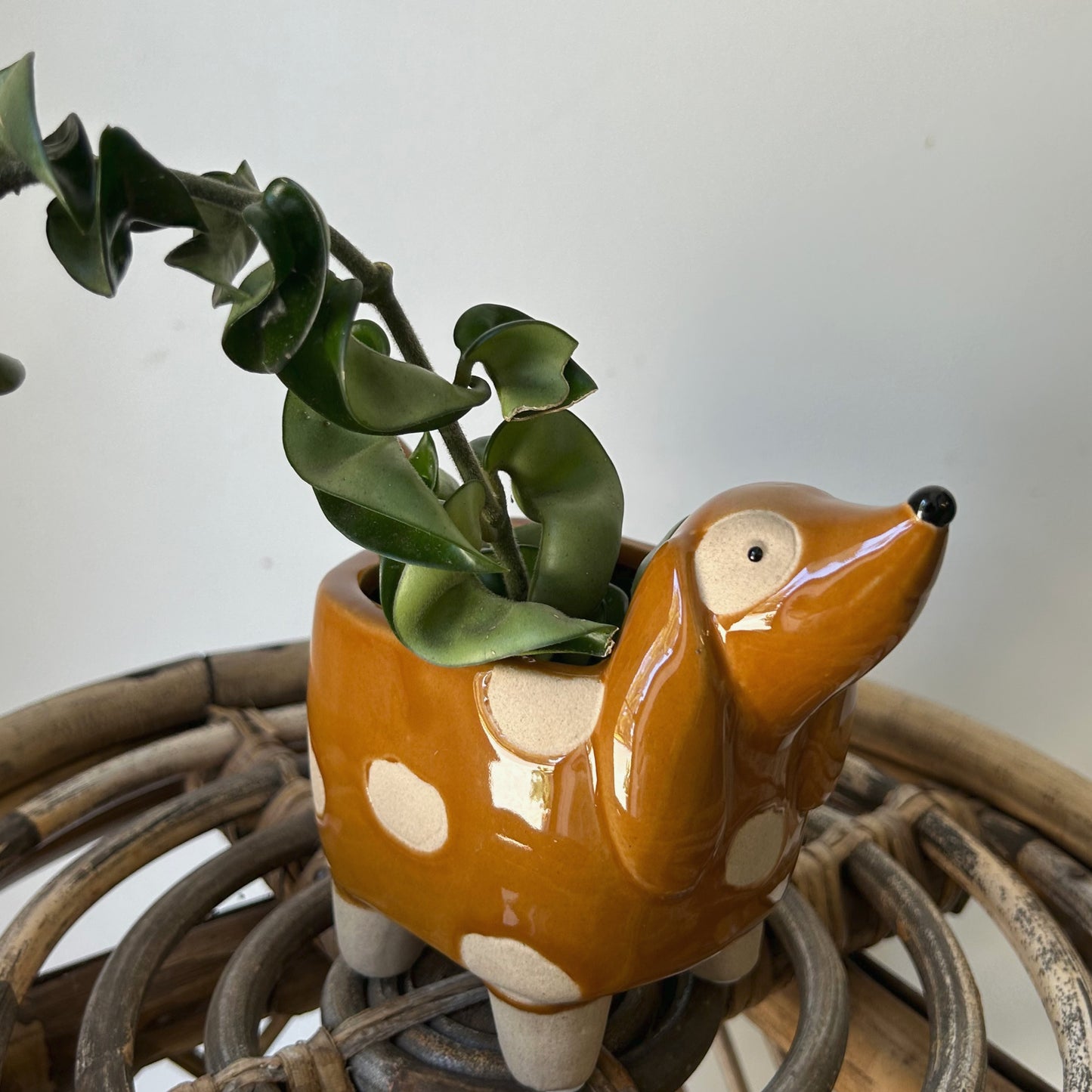 Spotted Dog Decorative Pot (2.5”x2.5”)
