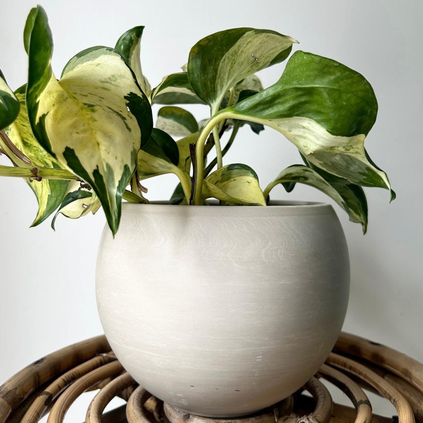 SHILOH Decorative Sphere Clay Pot