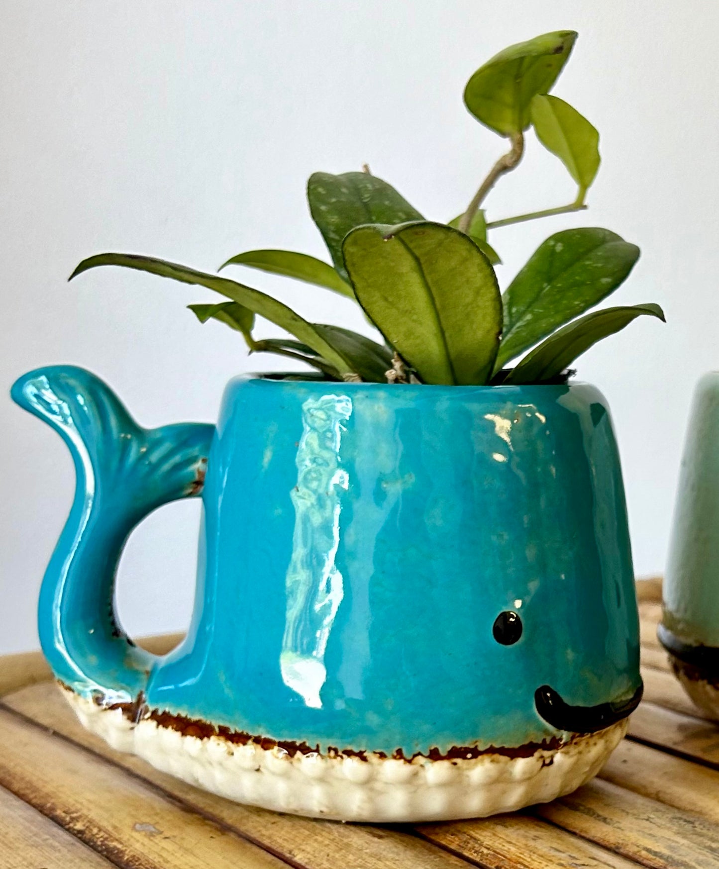 WHALE Decorative Planter (2.75”x3”)