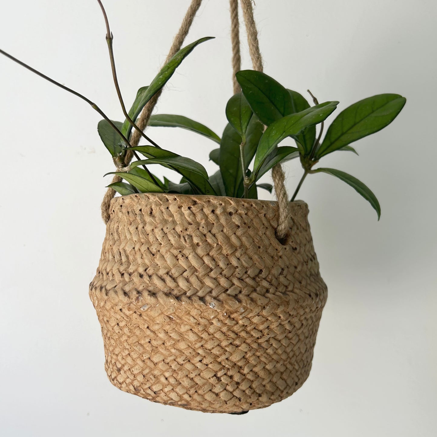 HAVEN Decorative hanging cement pot (rattan textured design) 4.75”x5”