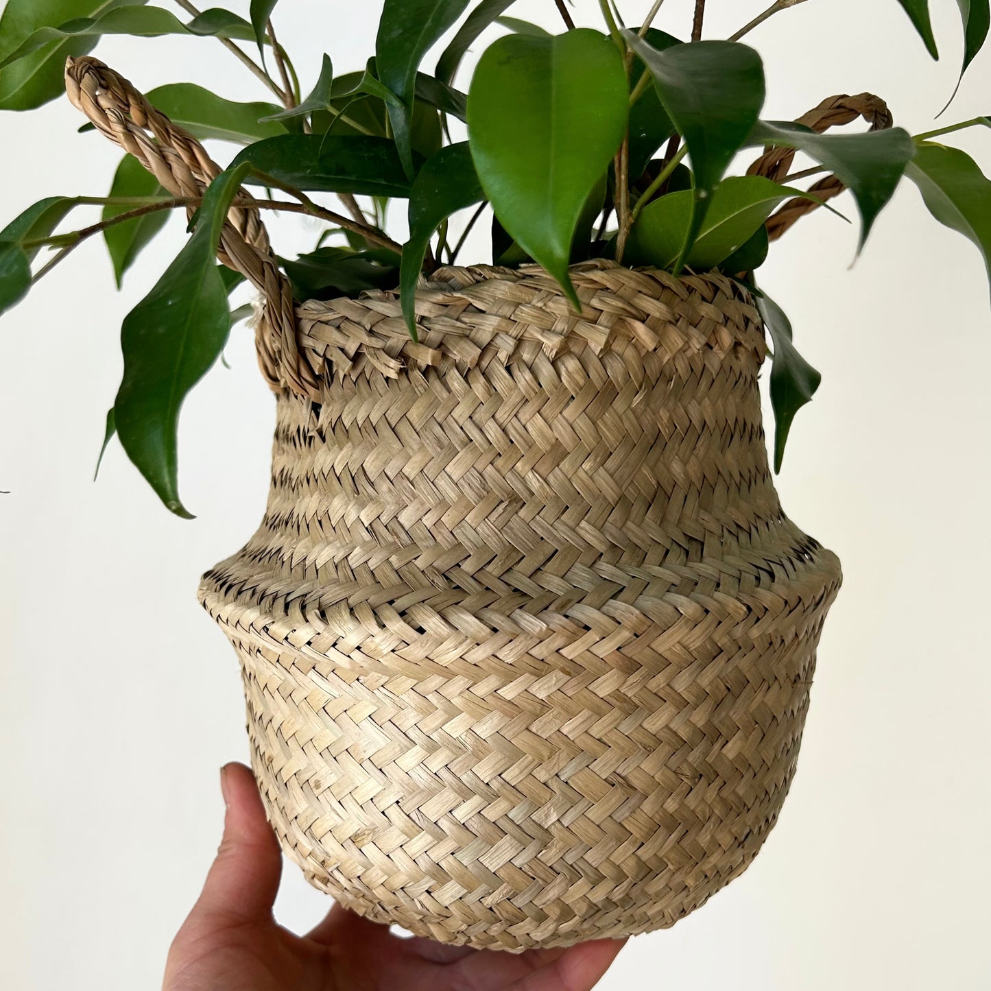 Seagrass Plant Tote (5.5”X7”)