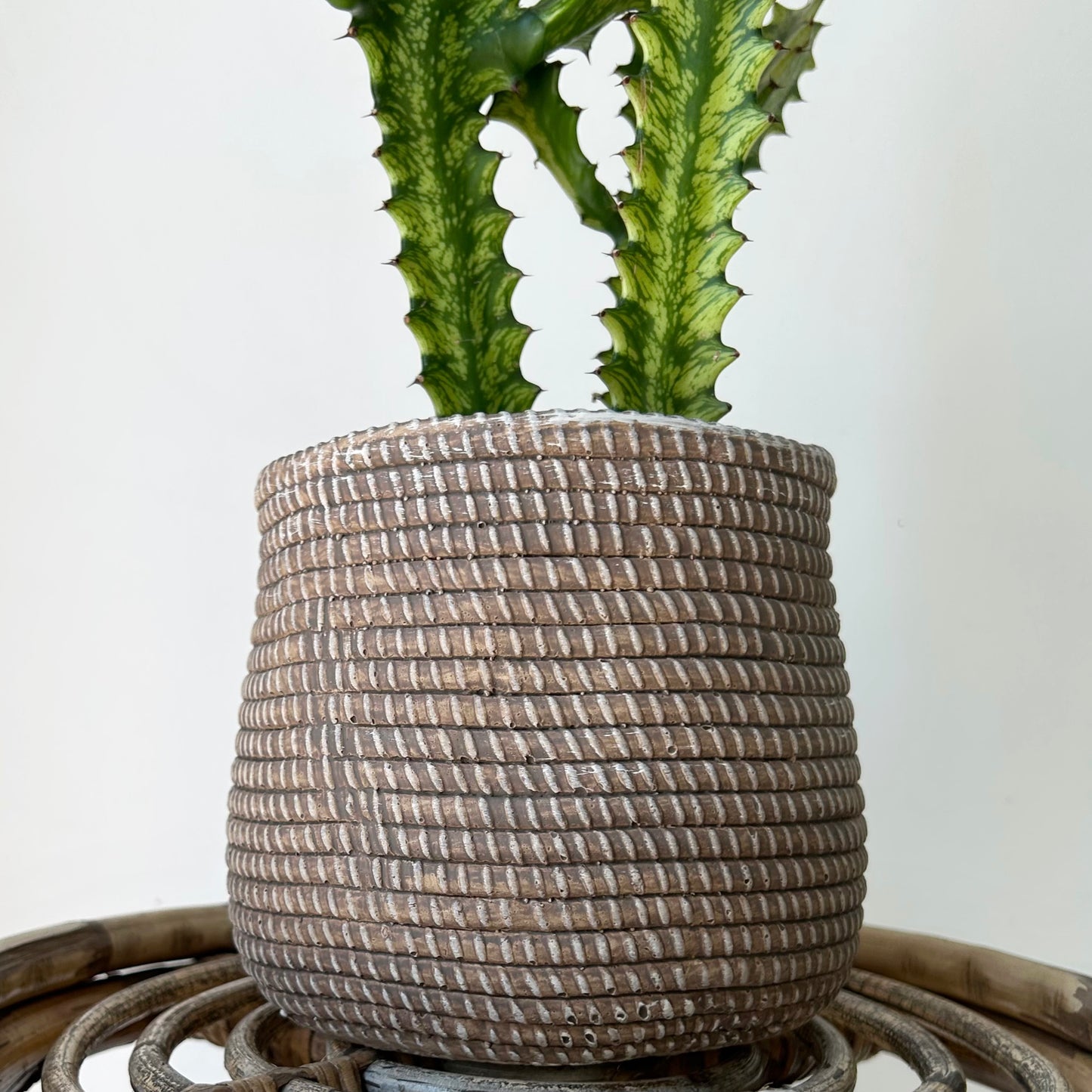 LARKIN Decorative cement pot (seagrass textured design) available in two sizes