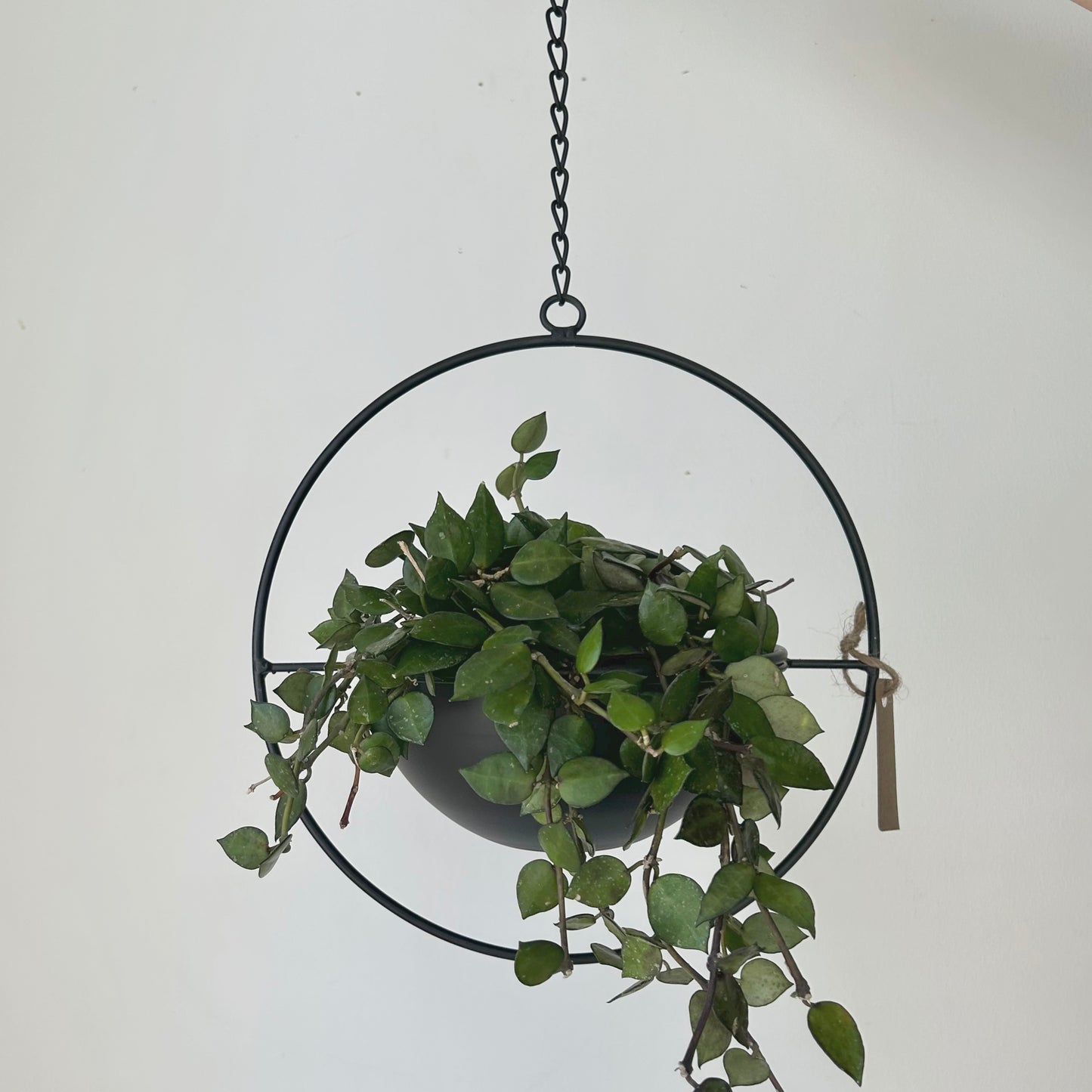 CARMEN Decorative Shallow Hanging Planter with Frame