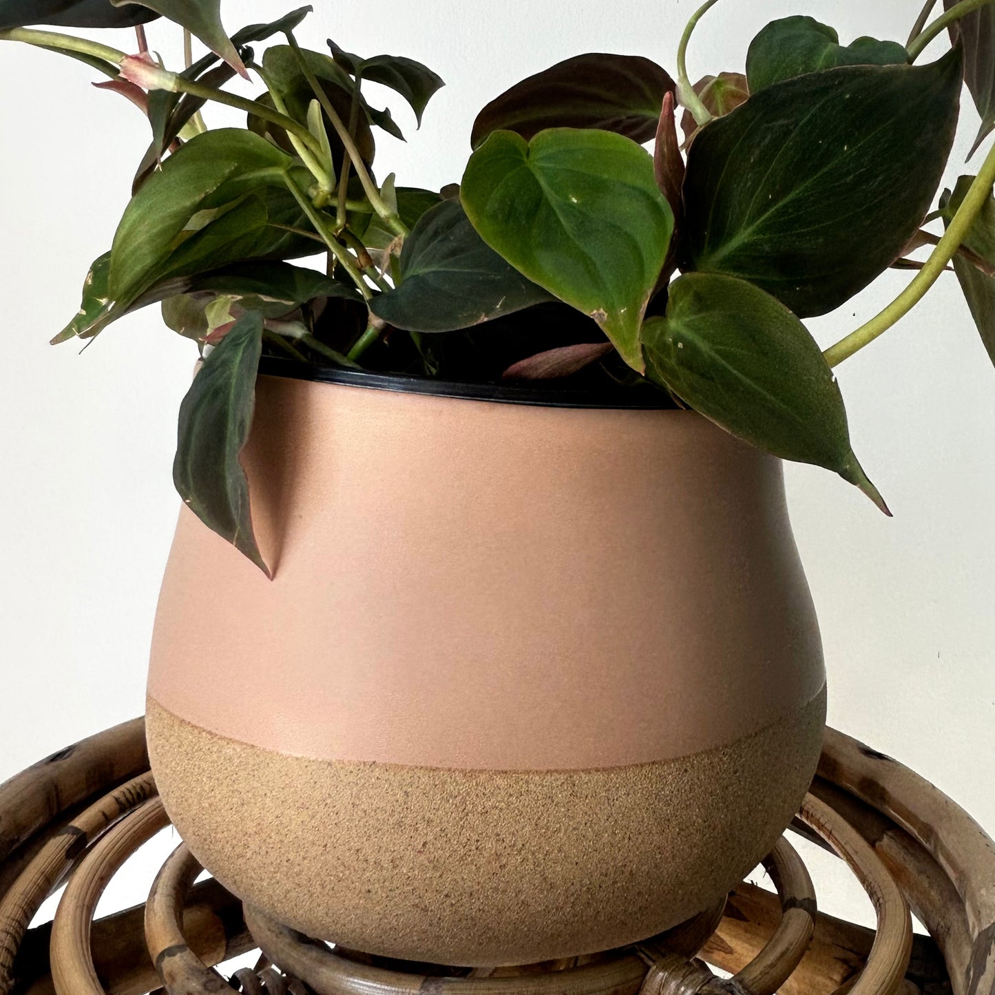 ARIA Asymmetrical Decorative Pot sandstone base (6”x5.5”)