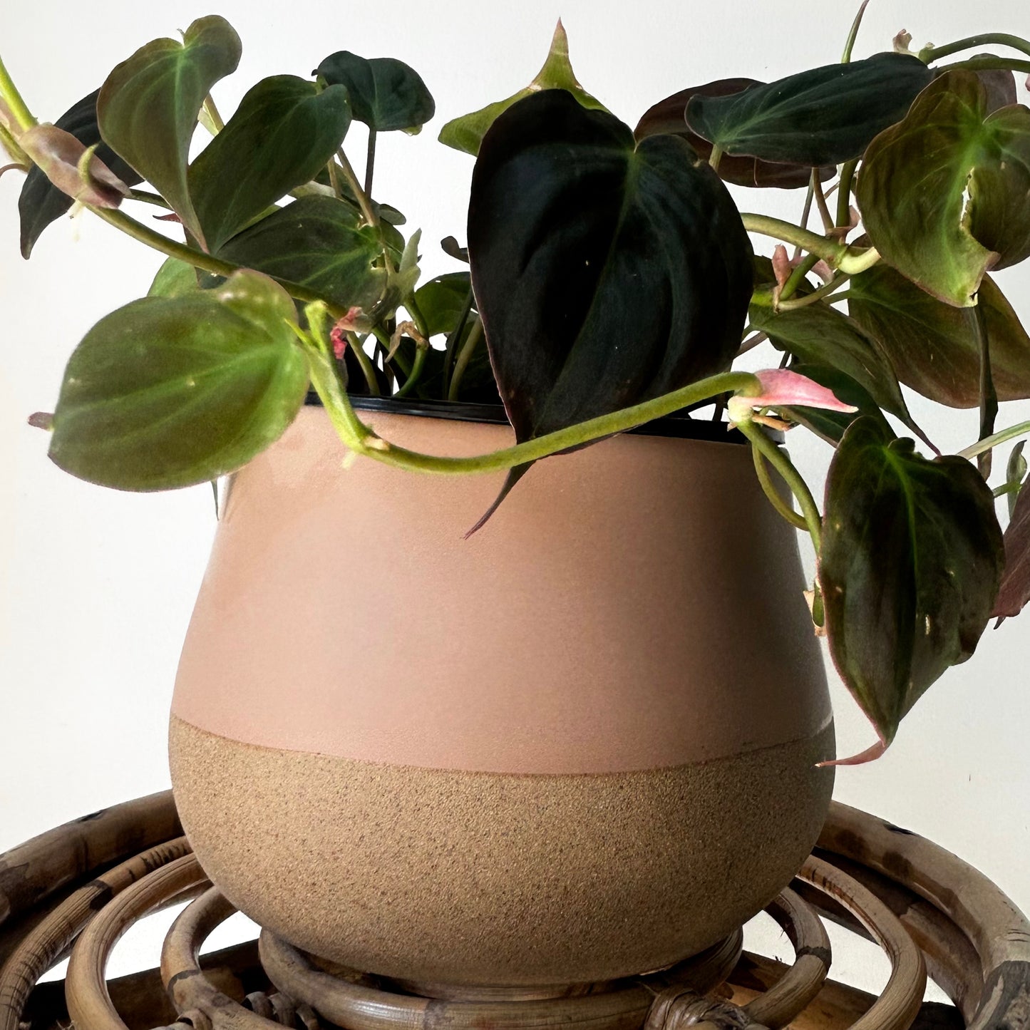 ARIA Asymmetrical Decorative Pot sandstone base (6”x5.5”)