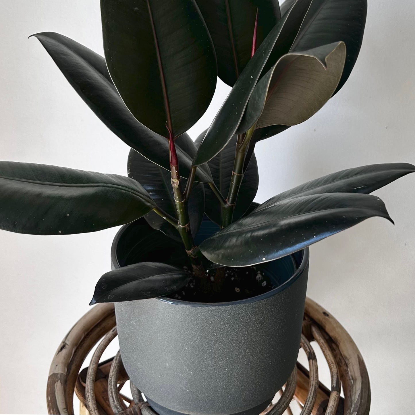 MATEO Textured Grey Decorative Planter 6.5”x6”