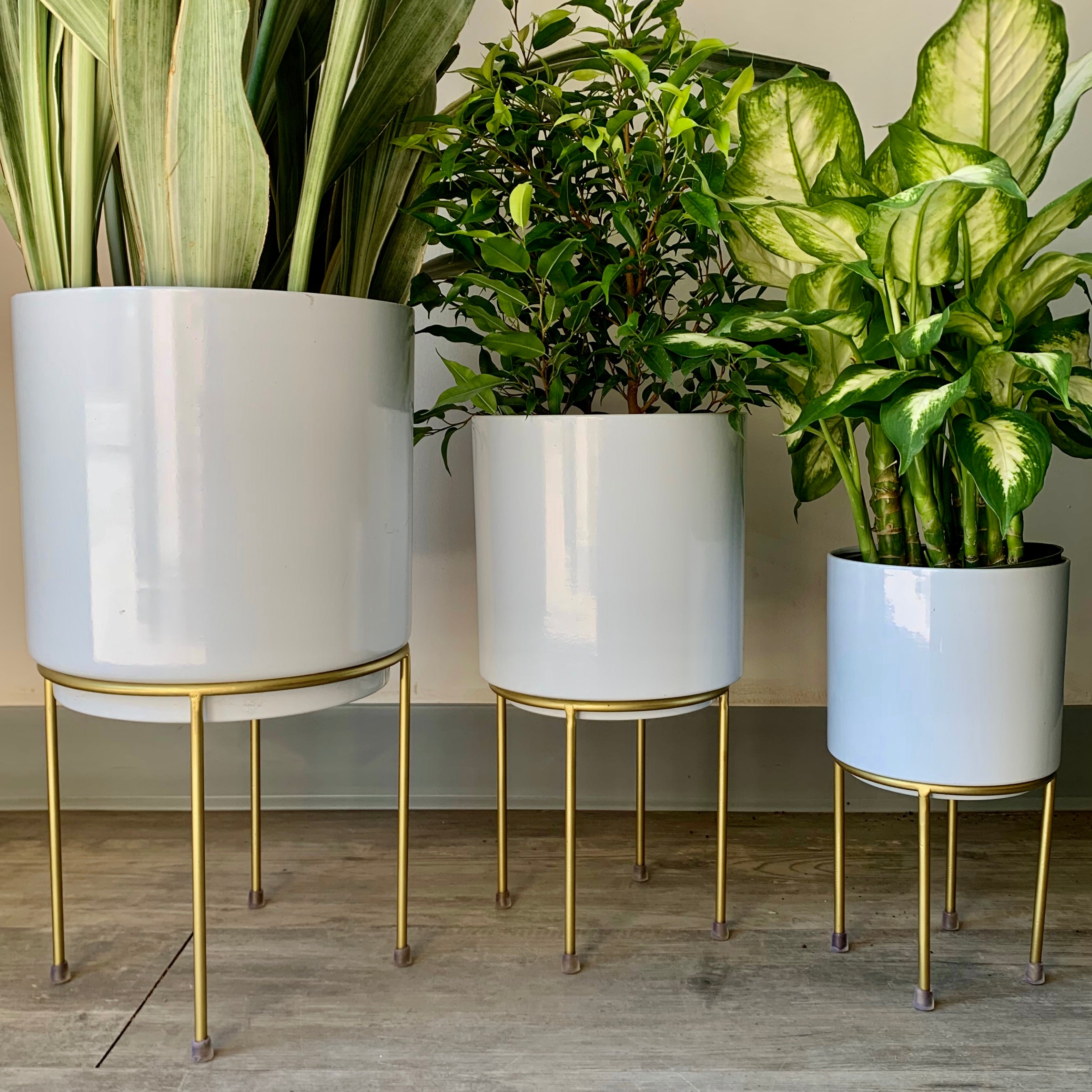 white and gold plant pot NOELLE Glossy White Mid Century Planter Gold Metal Stand – House of Plants