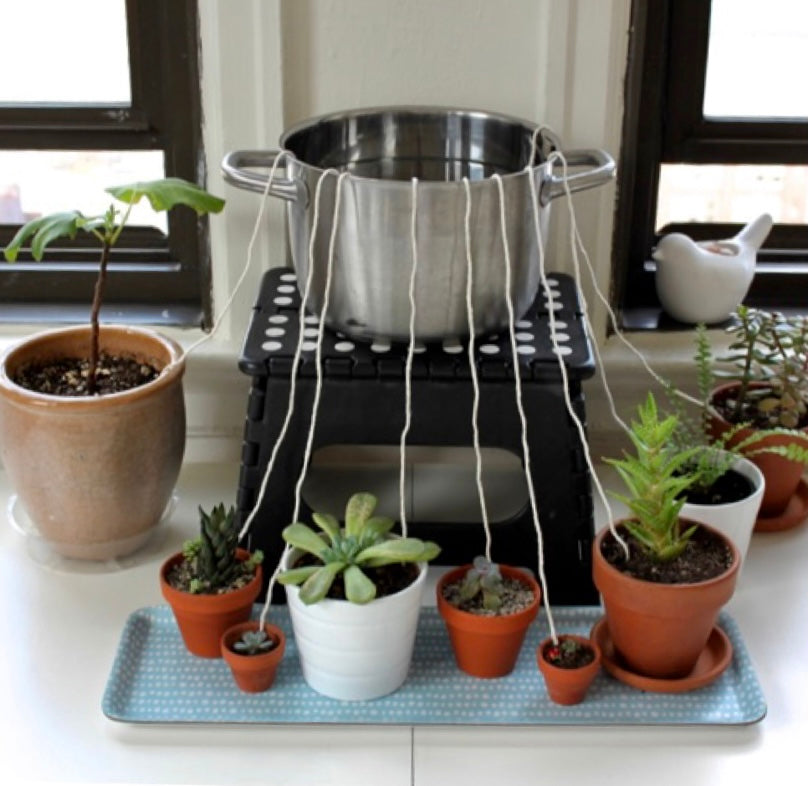 Water Wick Method (DIY Self-Watering Hack) – House of Plants