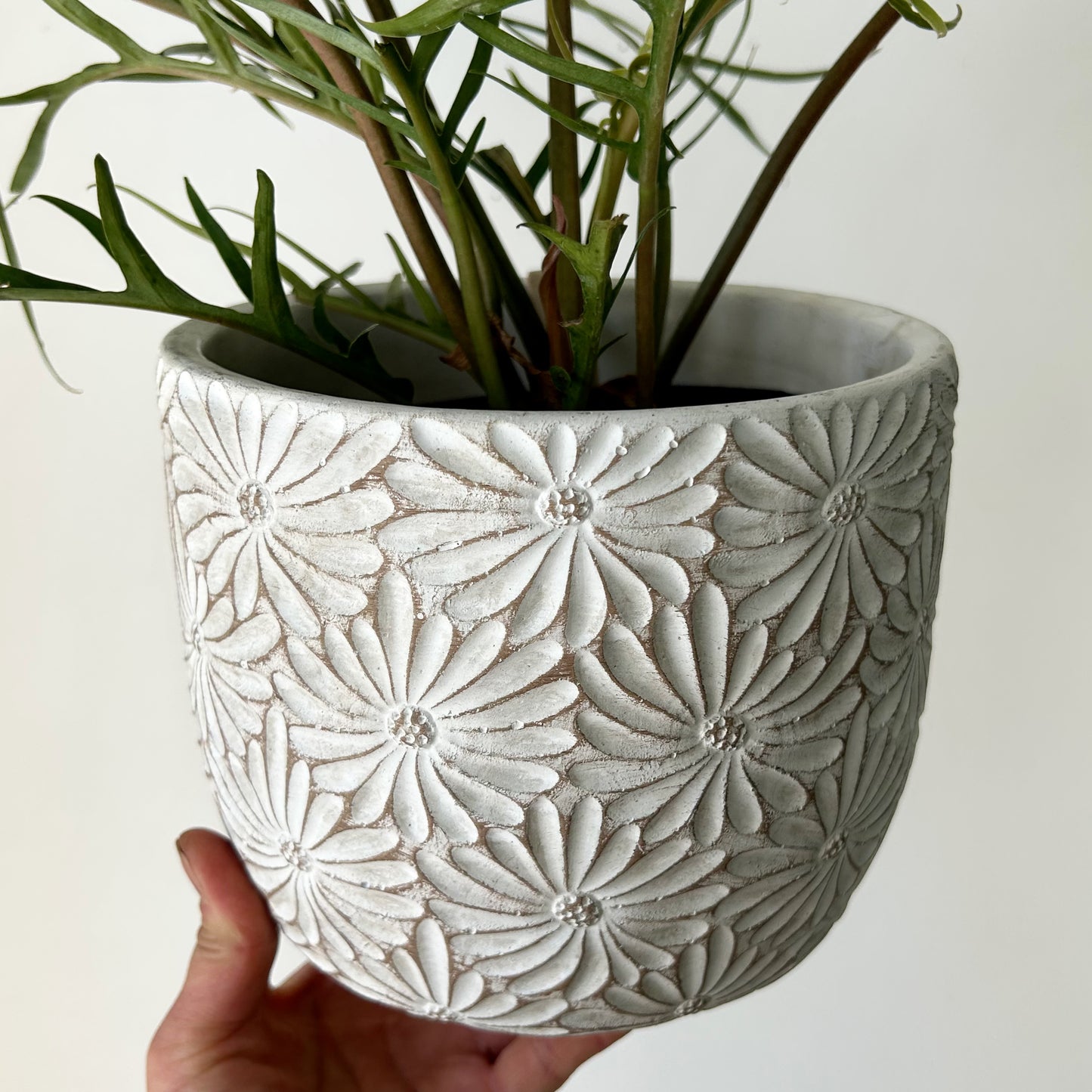 DAISY decorative cement pot (available in 2 sizes)