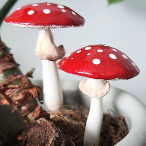 PLANT SHROOMS Red Toadstool Mushrooms Decorative Accent