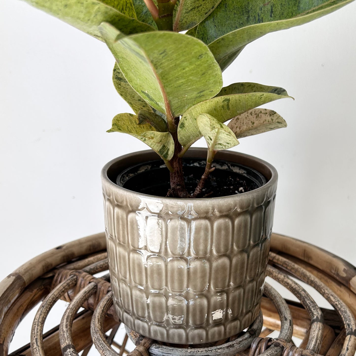 SCHEURICH Decorative Pot TAUPE (4.5”x4)