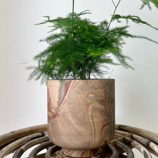 TEDROS Decorative Pot (available in two sizes)